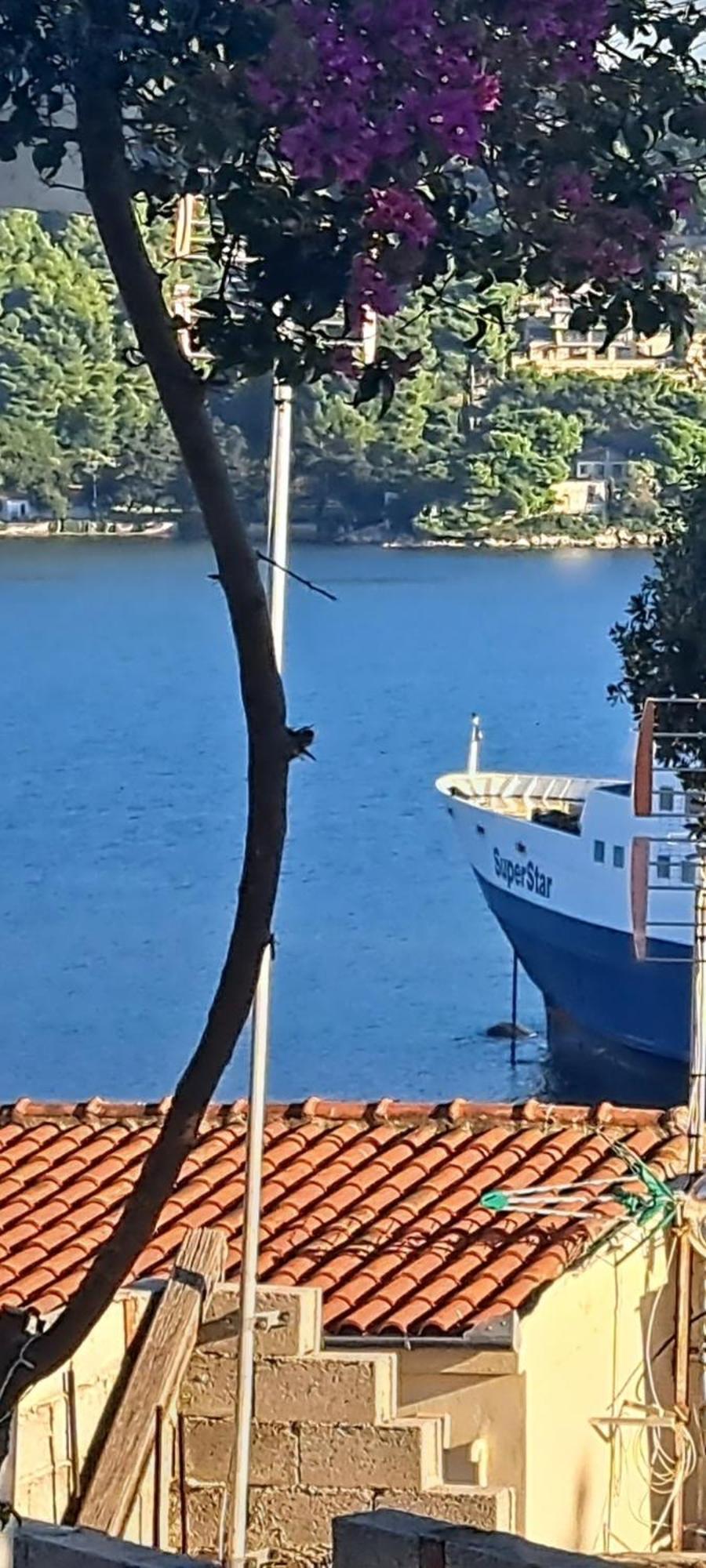 Final Step Apartment Skiathos Town Bagian luar foto