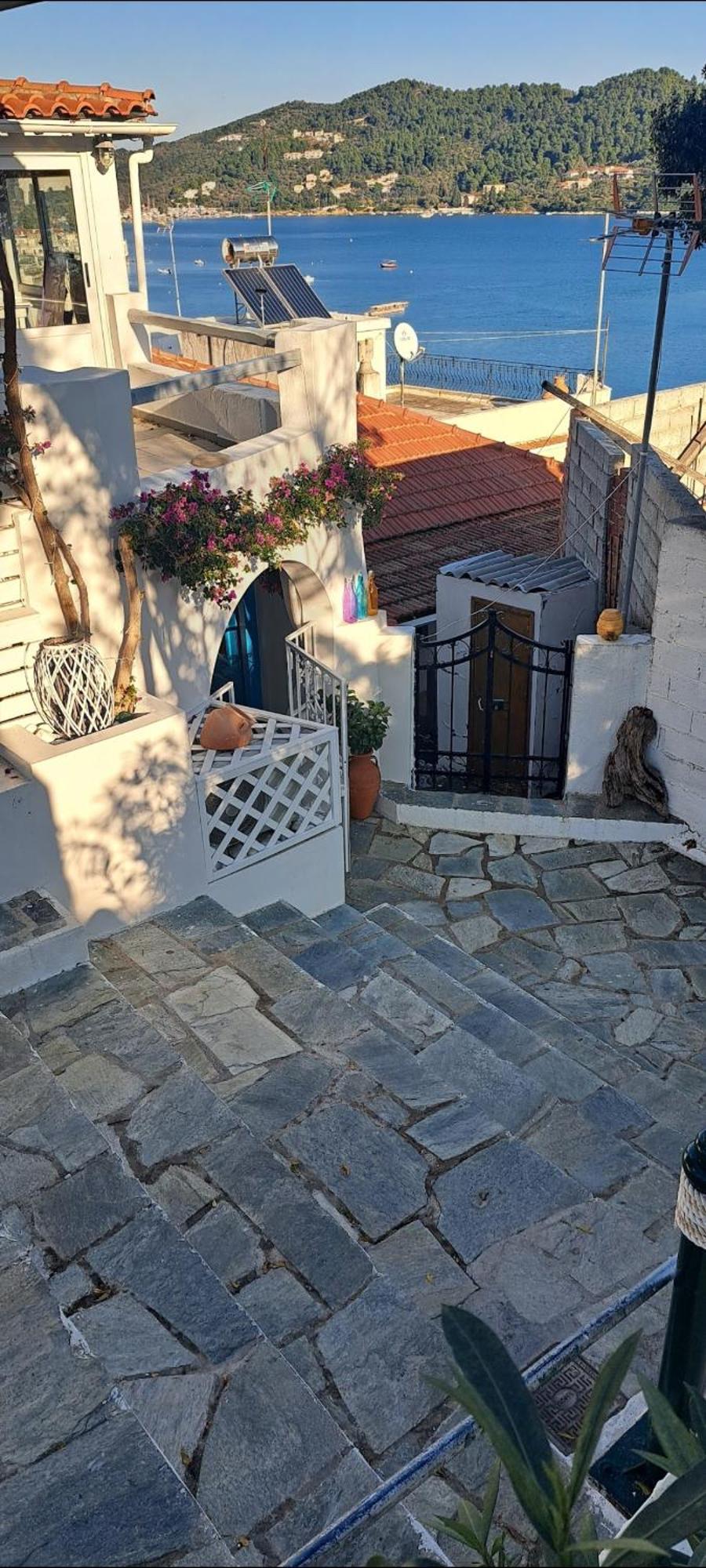 Final Step Apartment Skiathos Town Bagian luar foto